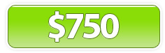 Money Network Login $700